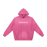 Soaring Sunfade Fleeced Hoodie ODMPOD